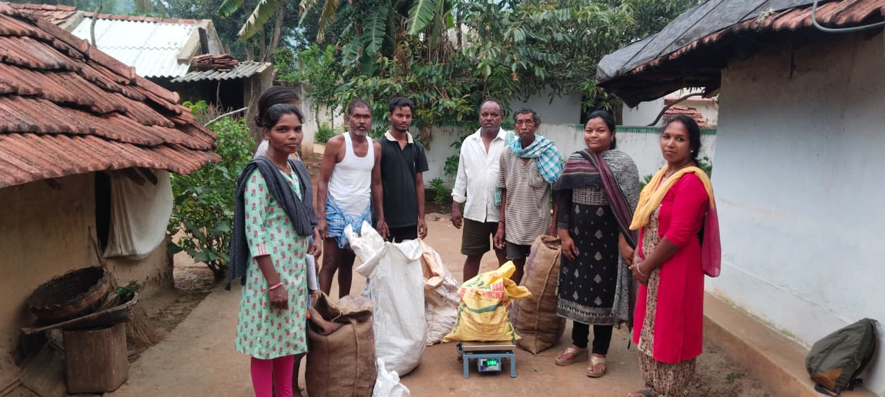 Farmers seed procurement for Ginger Polycrop Model